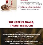 Ksecret SEOUL 1988 Essence : Snail Mucin 97% + Rice - 100ml