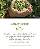 I\'m from Mugwort Gel Cleanser Mini - 30g