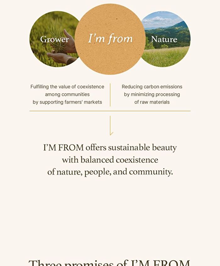 I\'m from Rice Sheet Mask - 20ml x 1 sheet
