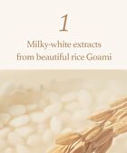Rice Sheet Mask Set - 2023 Version - 20ml x 5 sheets