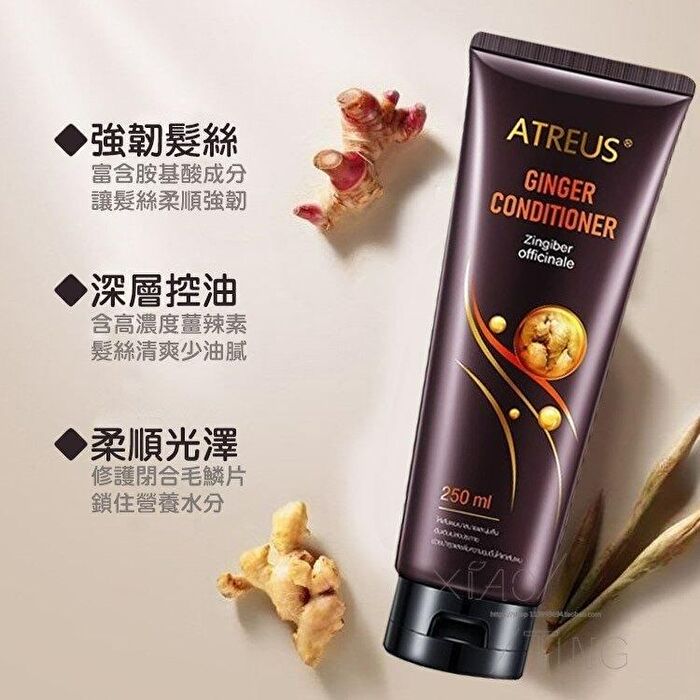 Ginger Conditioner - 250ml