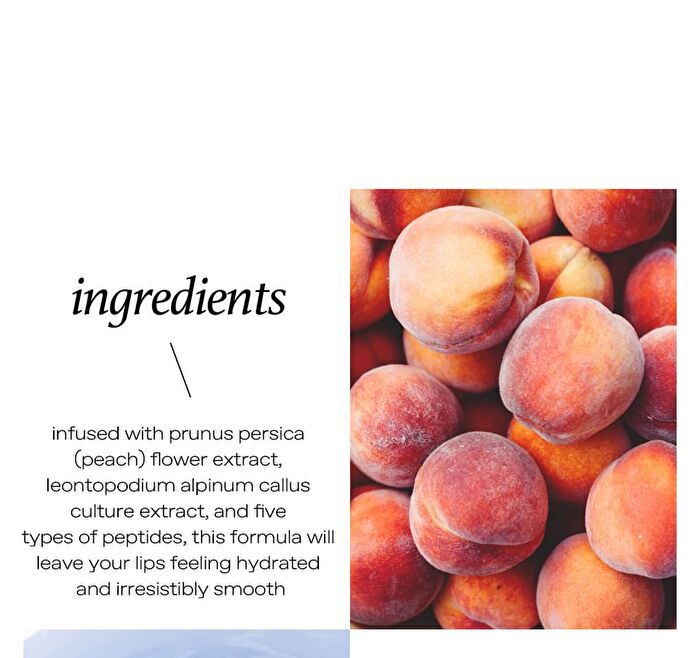 glow Peach Peptide Lip Balm - 3 Types - #PalePink