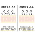 Peel Care Serum Lactic Acid 6% - 28ml