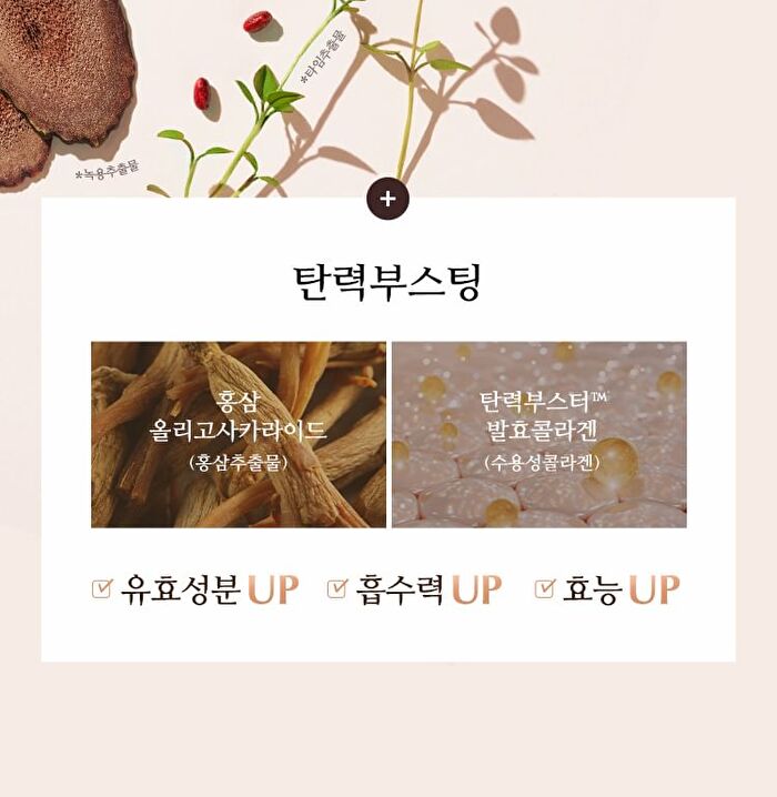 Chogongjin Essence Pact - 2 Colors - #21C Vanilla