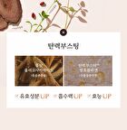 Chogongjin Essence Pact - 2 Colors - #23C Sand