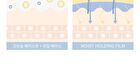 Shine Reflector - 7 colors - Opal Shower