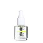 Myrrh & Avocado Nail Oil - 8ml