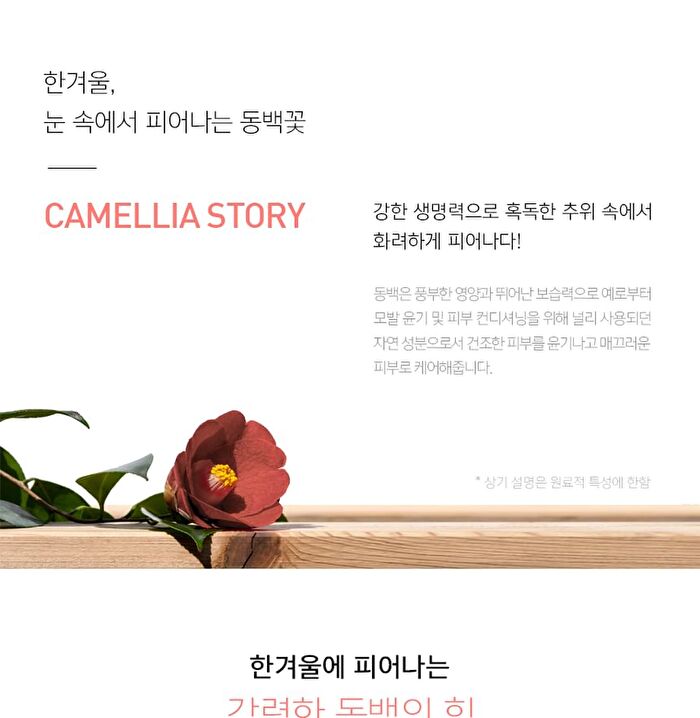 Sunset Camellia Remover Stick - 50 pcs