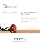 Sunset Camellia Remover Stick - 50 pcs