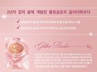 Glitter Powder - 2 Colors - #02 Golden Breeze