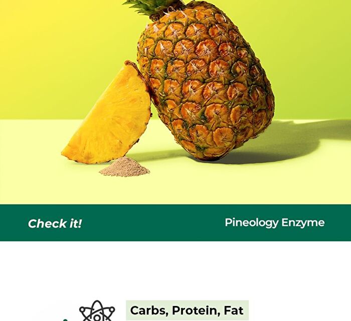 Foodology Pineology - 2024 Version - 3000mg x 28 sticks