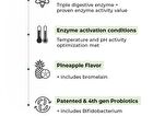 Foodology Pineology - 2024 Version - 3000mg x 28 sticks