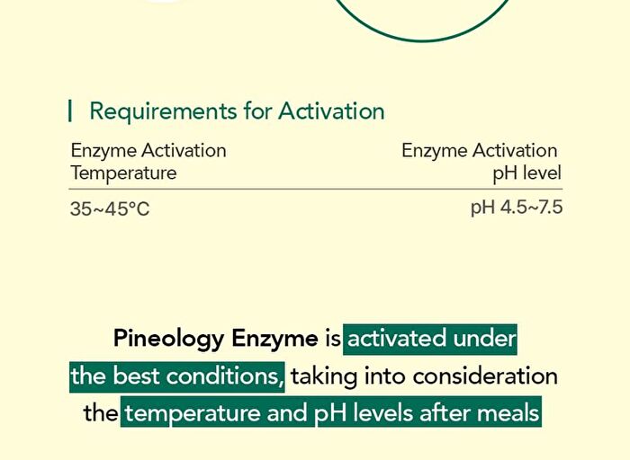 Foodology Pineology - 2024 Version - 3000mg x 28 sticks