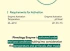Foodology Pineology - 2024 Version - 3000mg x 28 sticks