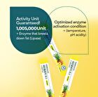 Foodology Pineology - 2024 Version - 3000mg x 28 sticks
