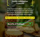 Foodology Pineology - 2024 Version - 3000mg x 28 sticks