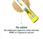 Foodology Pineology - 2024 Version - 3000mg x 28 sticks