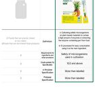 Foodology Pineology - 2024 Version - 3000mg x 28 sticks