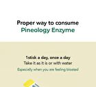 Foodology Pineology - 2024 Version - 3000mg x 28 sticks