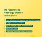 Foodology Pineology - 2024 Version - 3000mg x 28 sticks