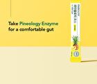 Foodology Pineology - 2024 Version - 3000mg x 28 sticks