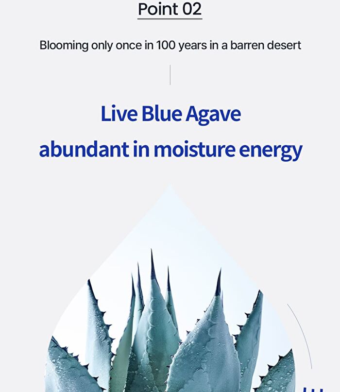 T\'else Blue Agave Hyaluronic Acid Cream - 50ml
