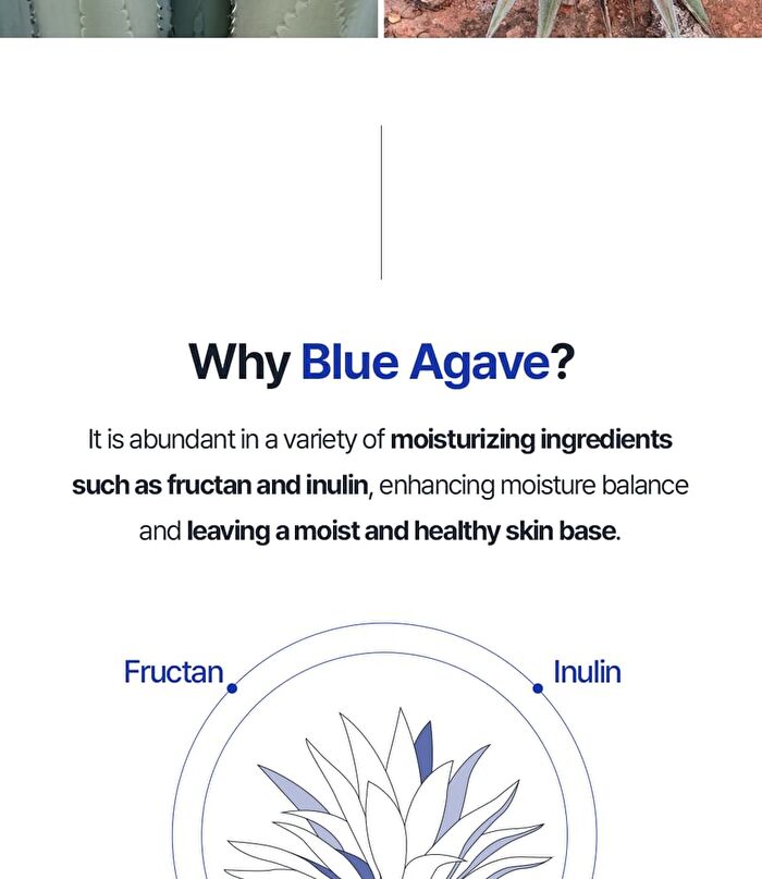 T\'else Blue Agave Hyaluronic Acid Cream - 50ml