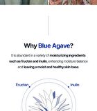 T\'else Blue Agave Hyaluronic Acid Cream - 50ml