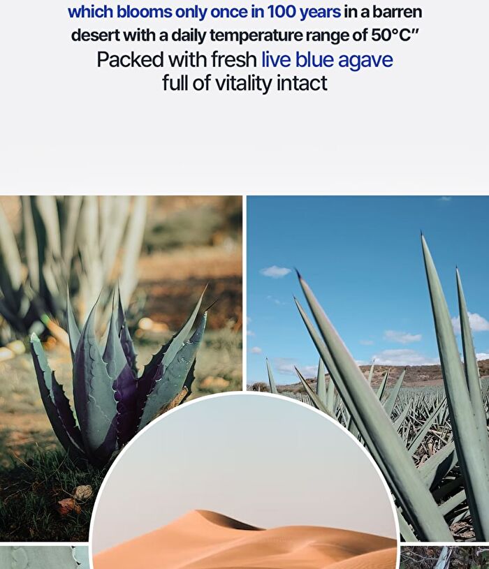 T\'else Blue Agave Hyaluronic Acid Mask Set - 5 sheets