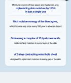 T\'else Blue Agave Hyaluronic Acid Mask Set - 5 sheets
