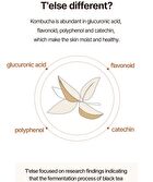 T\'else Kombucha Hydro Glow Cream - 50ml