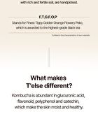 T\'else Kombucha Hydro Glow Essence - 150ml