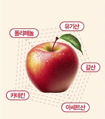 LIVELING Apple Ssok Cleanse - 2 Types - Lemon Flavor