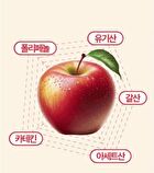 LIVELING Apple Ssok Cleanse - 2 Types - Lemon Flavor