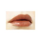 Lip Color Shield - 07 Sweet Rose