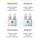 esfolio Ampoule - 6 Types - 2023 Version - Hyaluronic Acid Moisturizing