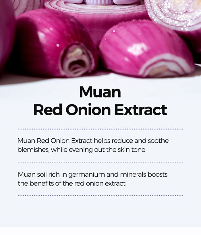 Onion Fresh Light Sun Stick - 22g