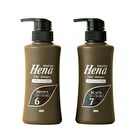 Tenstar Hena Color Shampoo - 6 Brown - 300ml
