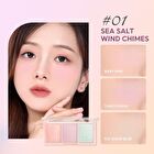Multi Blush Palette - 2 Colors - #02 Rose Red Bean - 13.5g