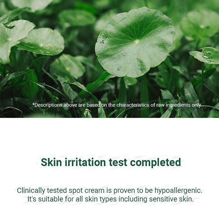 SKIN1004 Madagascar Centella Tea-Trica Spot Cream - 20ml