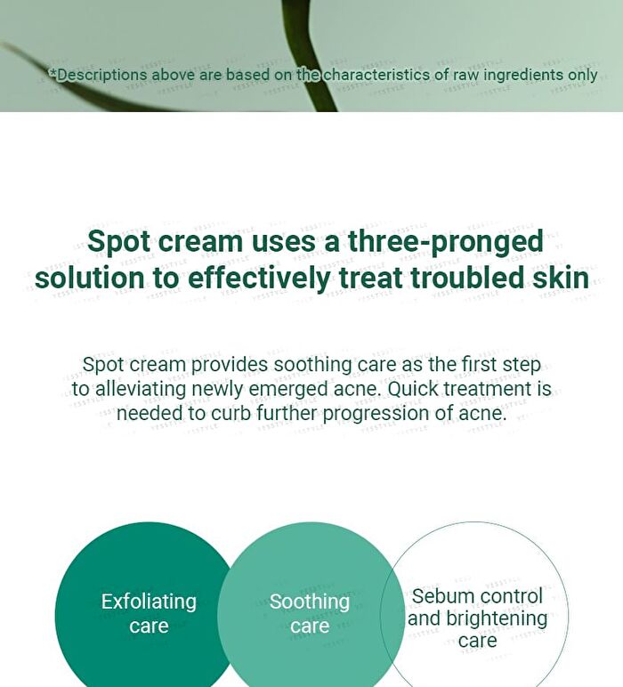 SKIN1004 Madagascar Centella Tea-Trica Spot Cream - 20ml