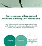 SKIN1004 Madagascar Centella Tea-Trica Spot Cream - 20ml
