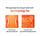 Foodology Burningology Tea - 7000mg x 15 sticks