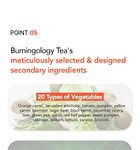 Foodology Burningology Tea - 7000mg x 15 sticks
