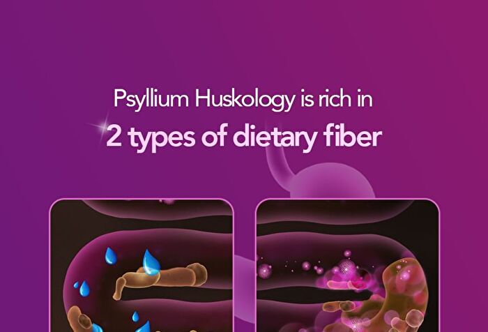 Foodology Psyllium Huskology - 6000mg x 20 sticks