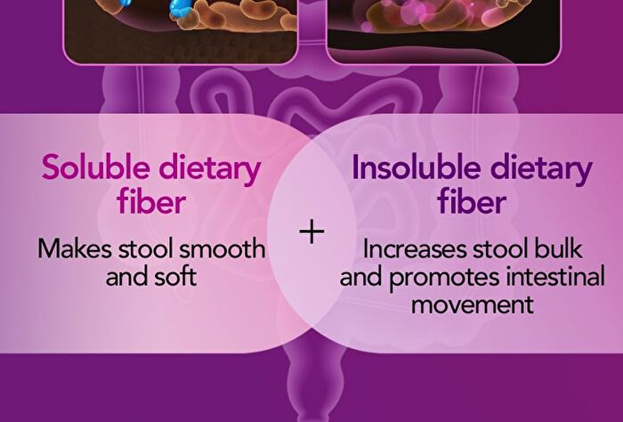 Foodology Psyllium Huskology - 6000mg x 20 sticks