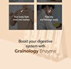 Foodology Grainology Enzyme - 3000mg x 28 sticks