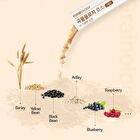 Foodology Grainology Enzyme - 3000mg x 28 sticks