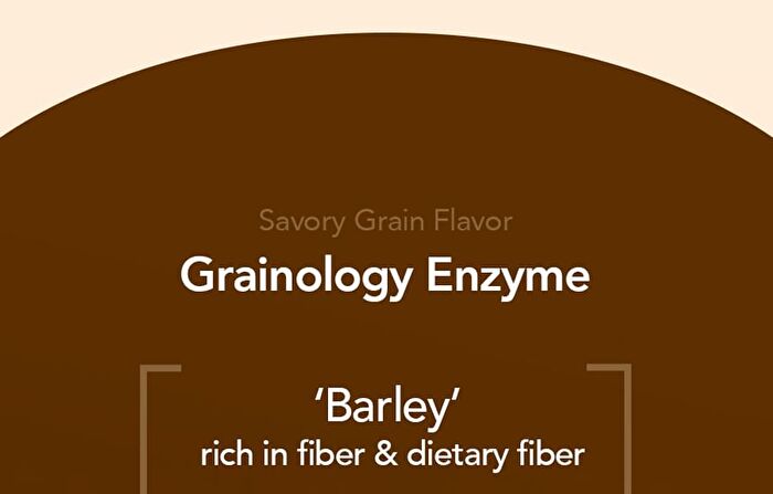Foodology Grainology Enzyme - 3000mg x 28 sticks