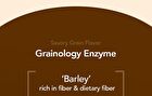 Foodology Grainology Enzyme - 3000mg x 28 sticks